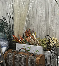 格安モデル撮影_NEWS