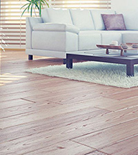 格安モデル撮影_NEWS