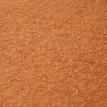 モデル撮影_shooting_sample_17